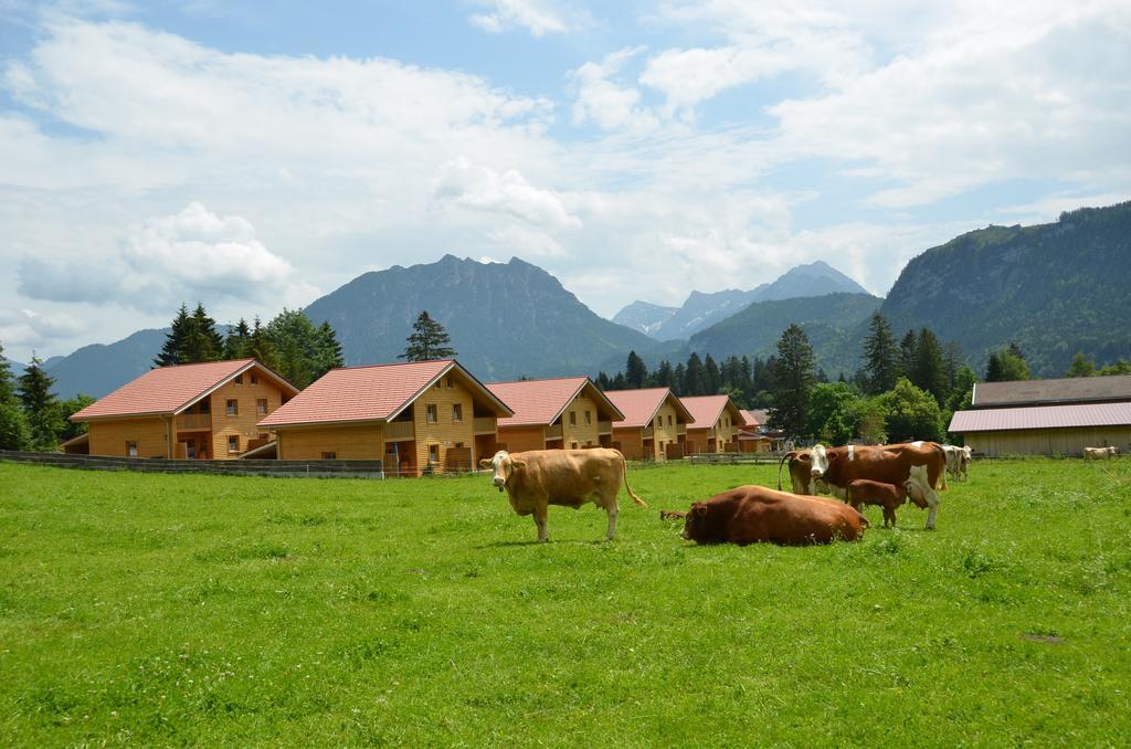 Feriendorf Am Hahnenkamm Reutte Εξωτερικό φωτογραφία
